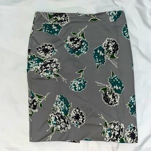 Ann Taylor pencil skirt!
